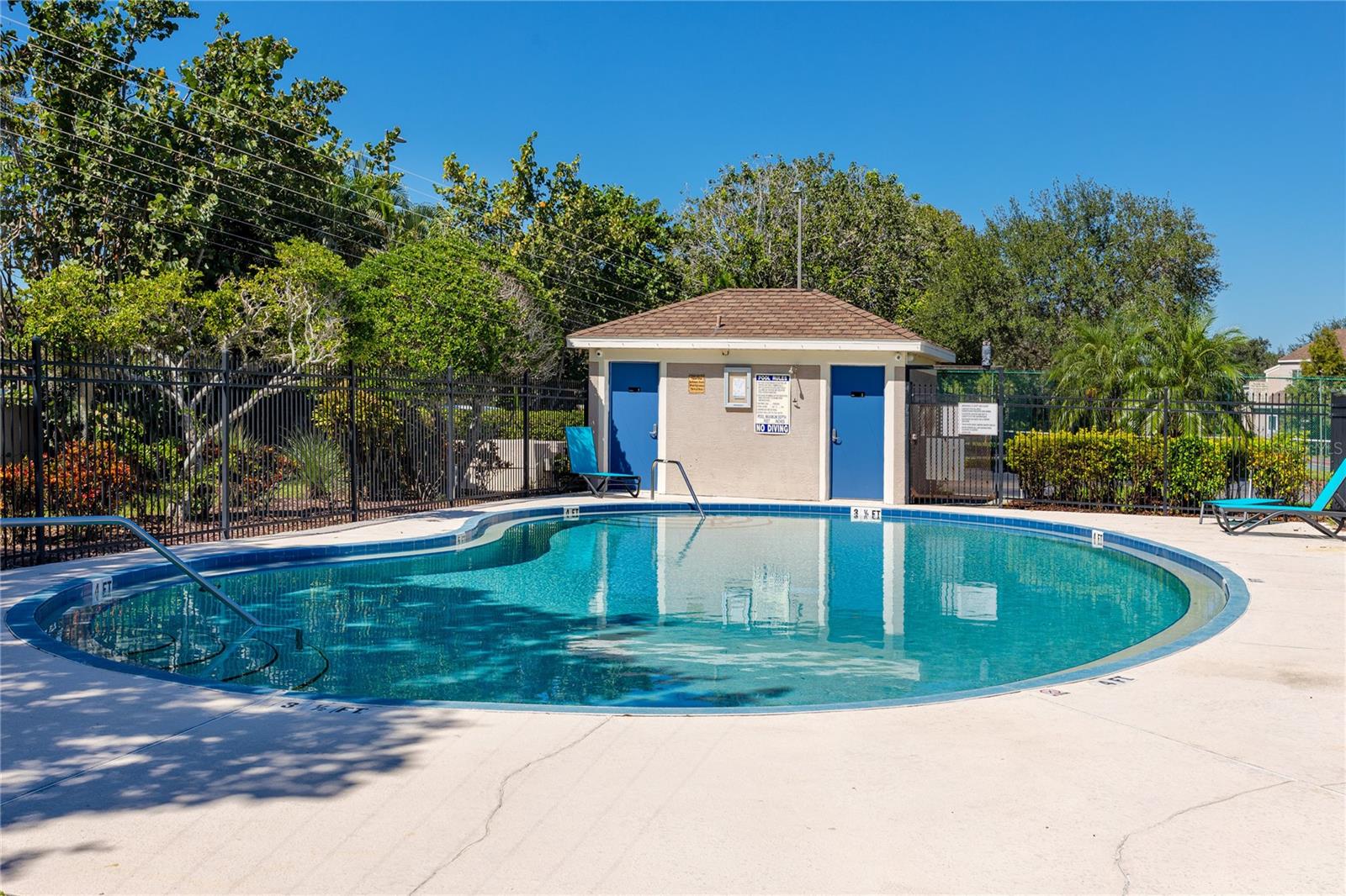 Pool at Bayside Key, Tampa, FL