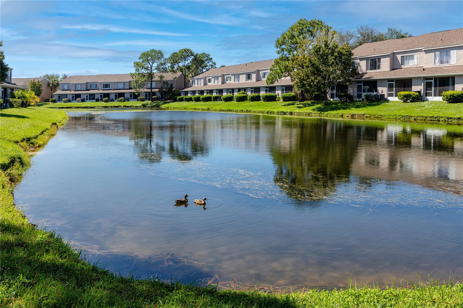 Back Yard with Pond Views  -6229 Bayside Key Dr, Tampa, FL 33615