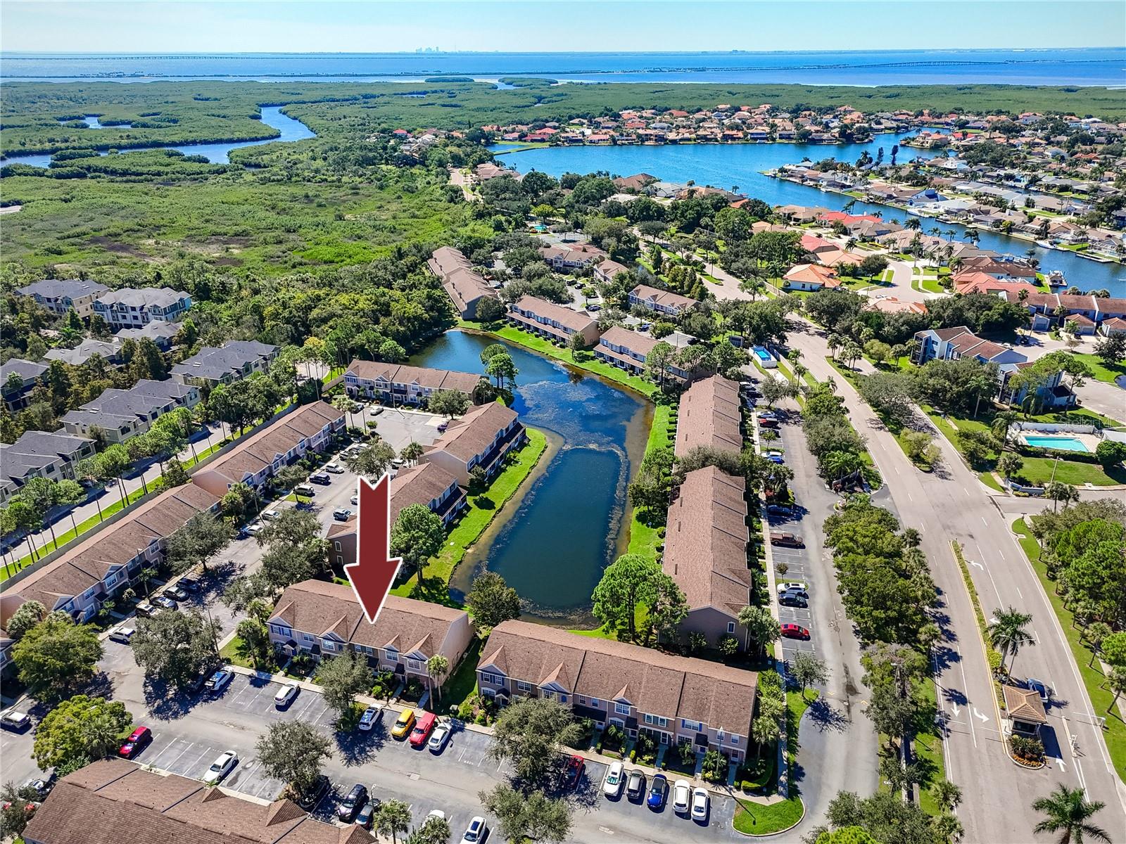 Aerial View -6229 Bayside Key Dr, Tampa, FL 33615