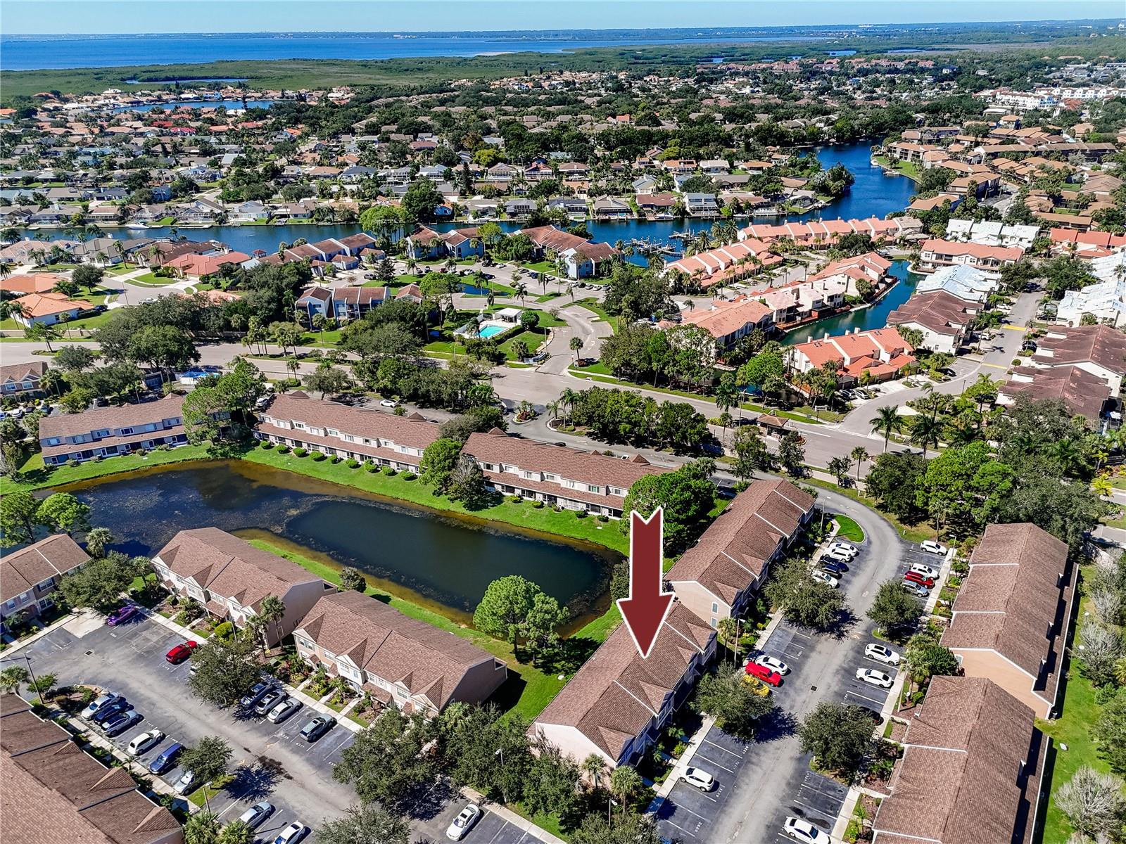 Aerial View -6229 Bayside Key Dr, Tampa, FL 33615