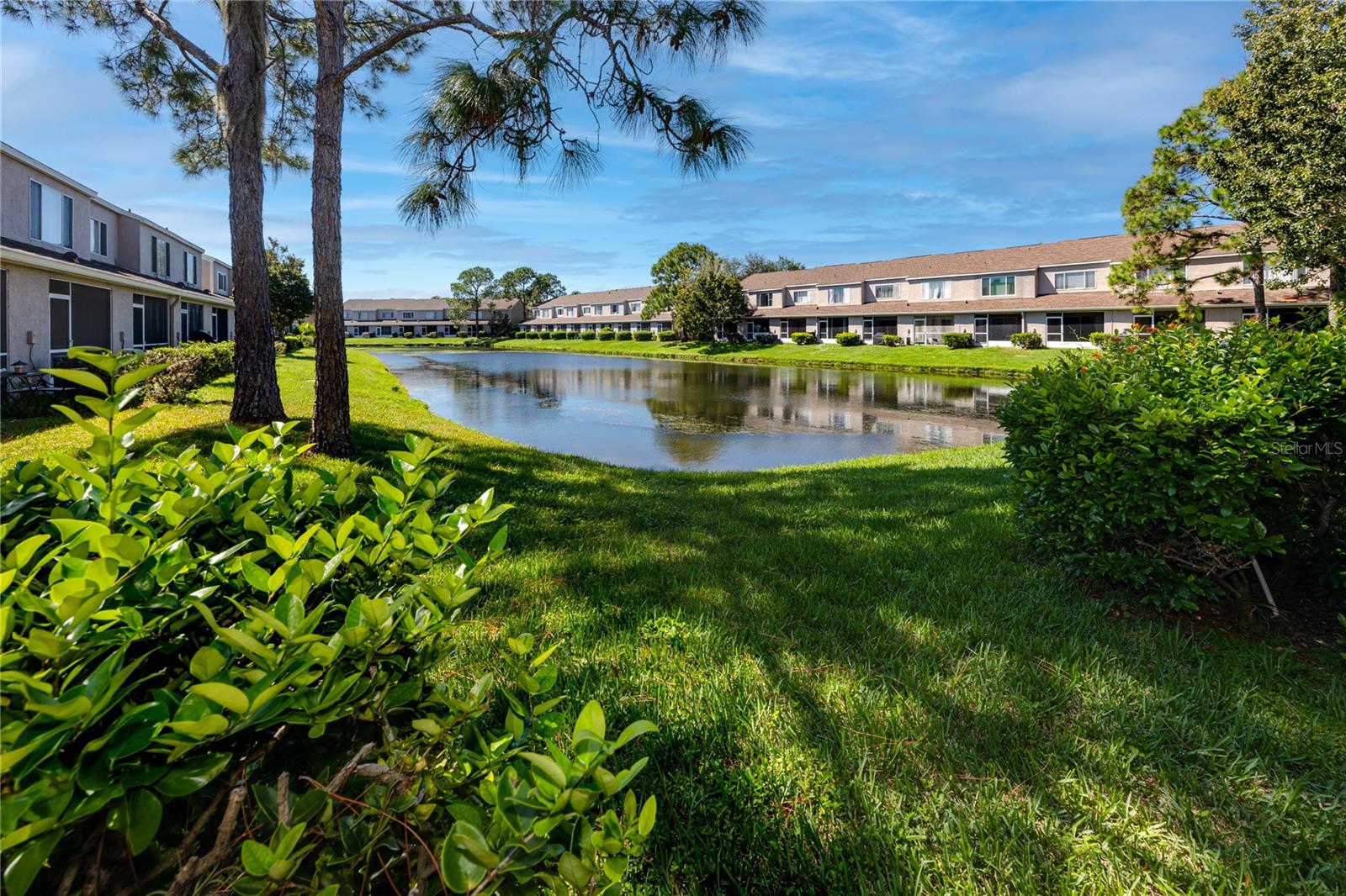 Back Yard with Pond Views  -6229 Bayside Key Dr, Tampa, FL 33615
