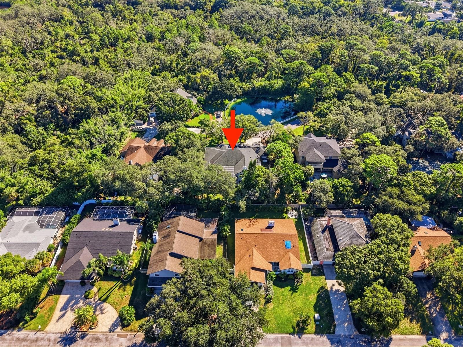 1980 MAC GREGOR ROAD, Tarpon Springs, FL 34689