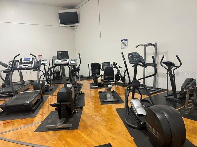 1400 GANDY BOULEVARD N, #1213, St Petersburg, FL 33702