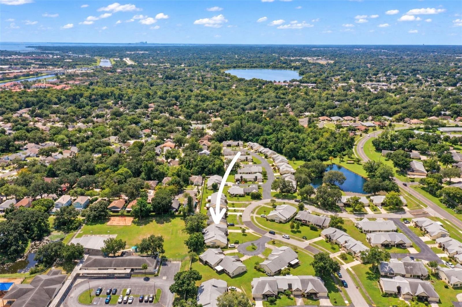 913 SUTTON PLACE, Palm Harbor, FL 34684