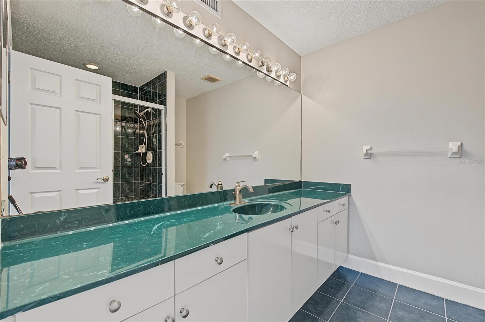 1626 LAGO VISTA BOULEVARD, Palm Harbor, FL 34685
