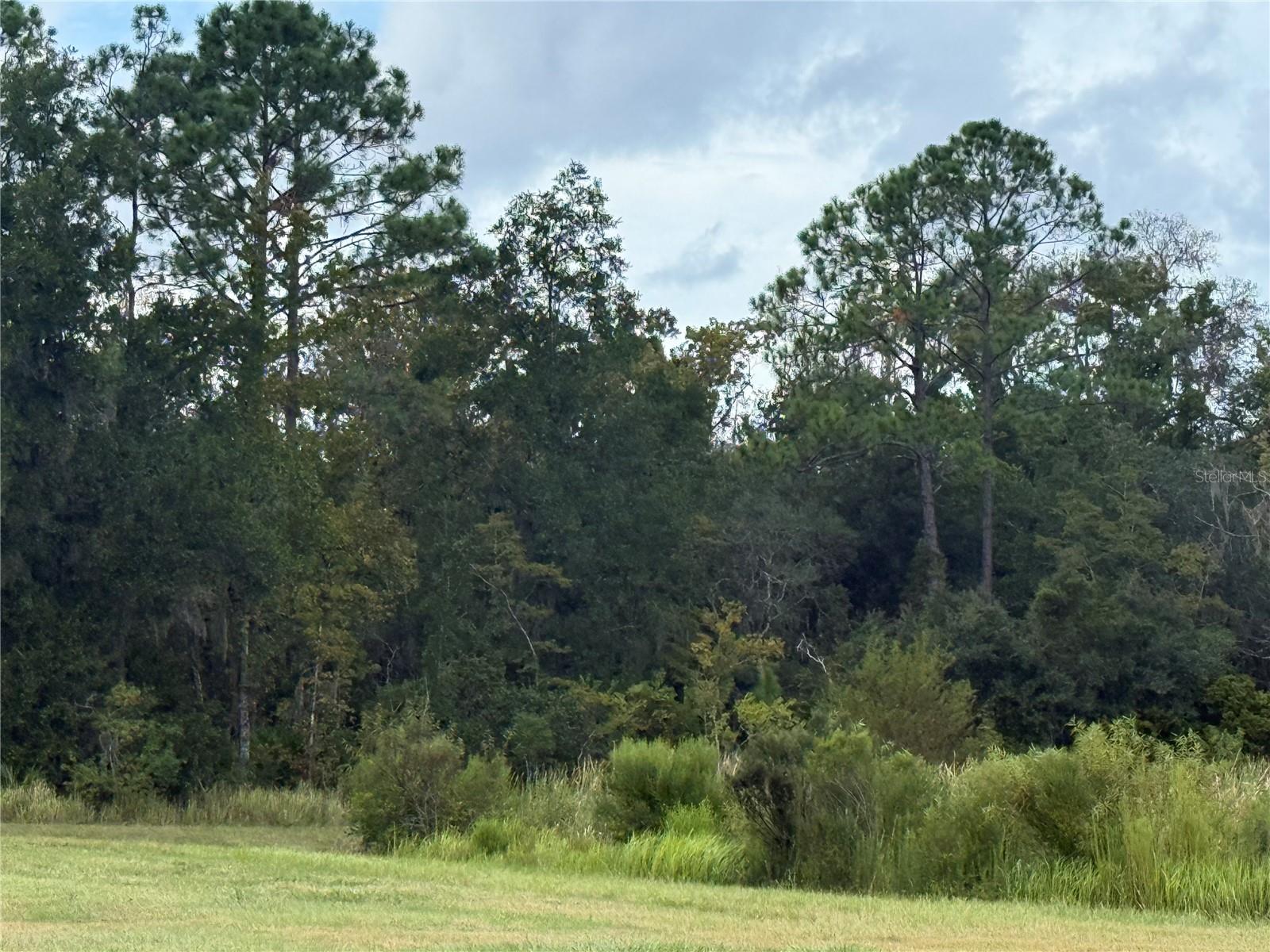 10855 W HOMOSASSA TRAIL, Homosassa, FL 34448 10855 W HOMOSASSA TRAIL, Homosassa, FL 34448