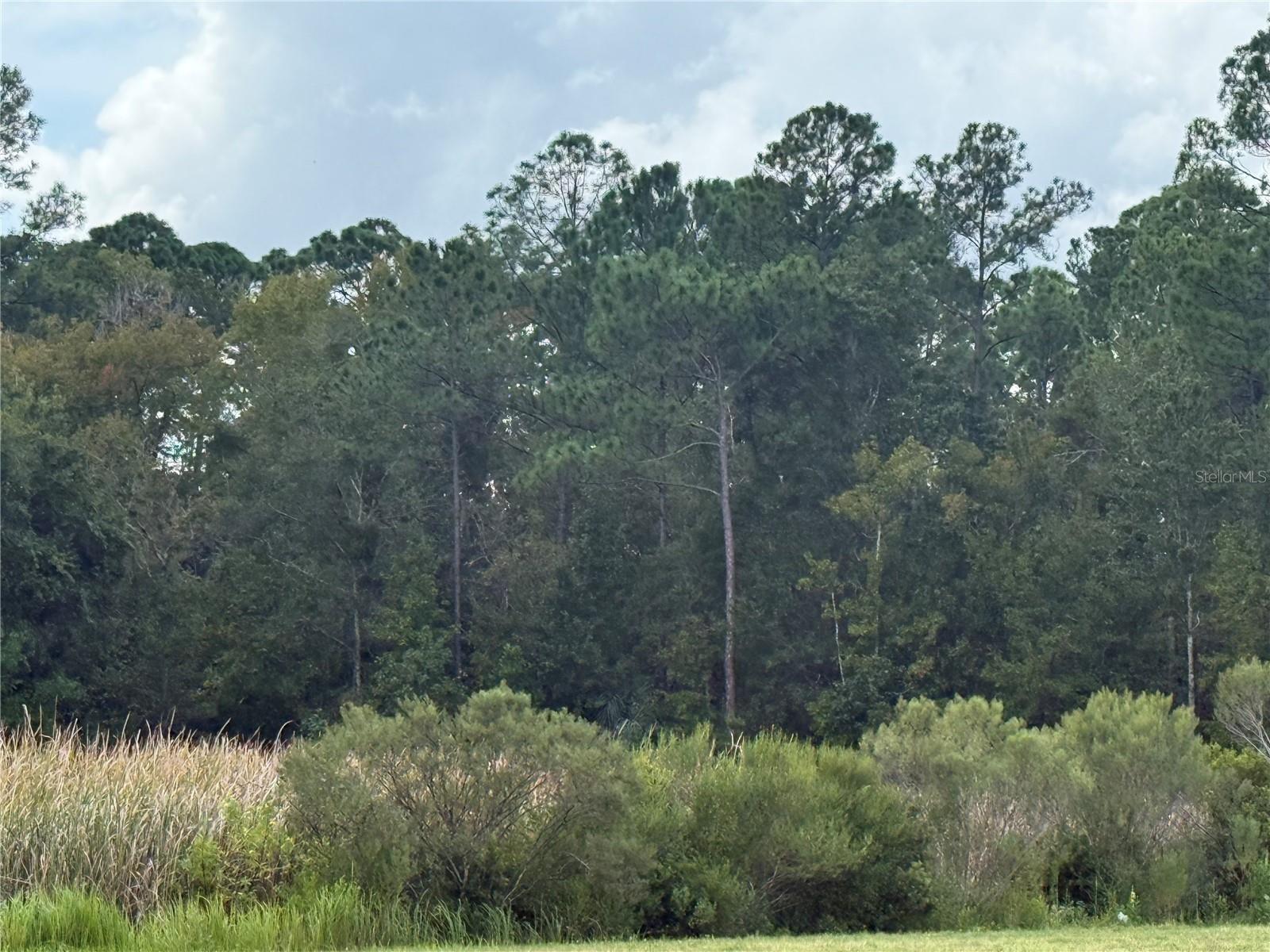 10855 W HOMOSASSA TRAIL, Homosassa, FL 34448 10855 W HOMOSASSA TRAIL, Homosassa, FL 34448