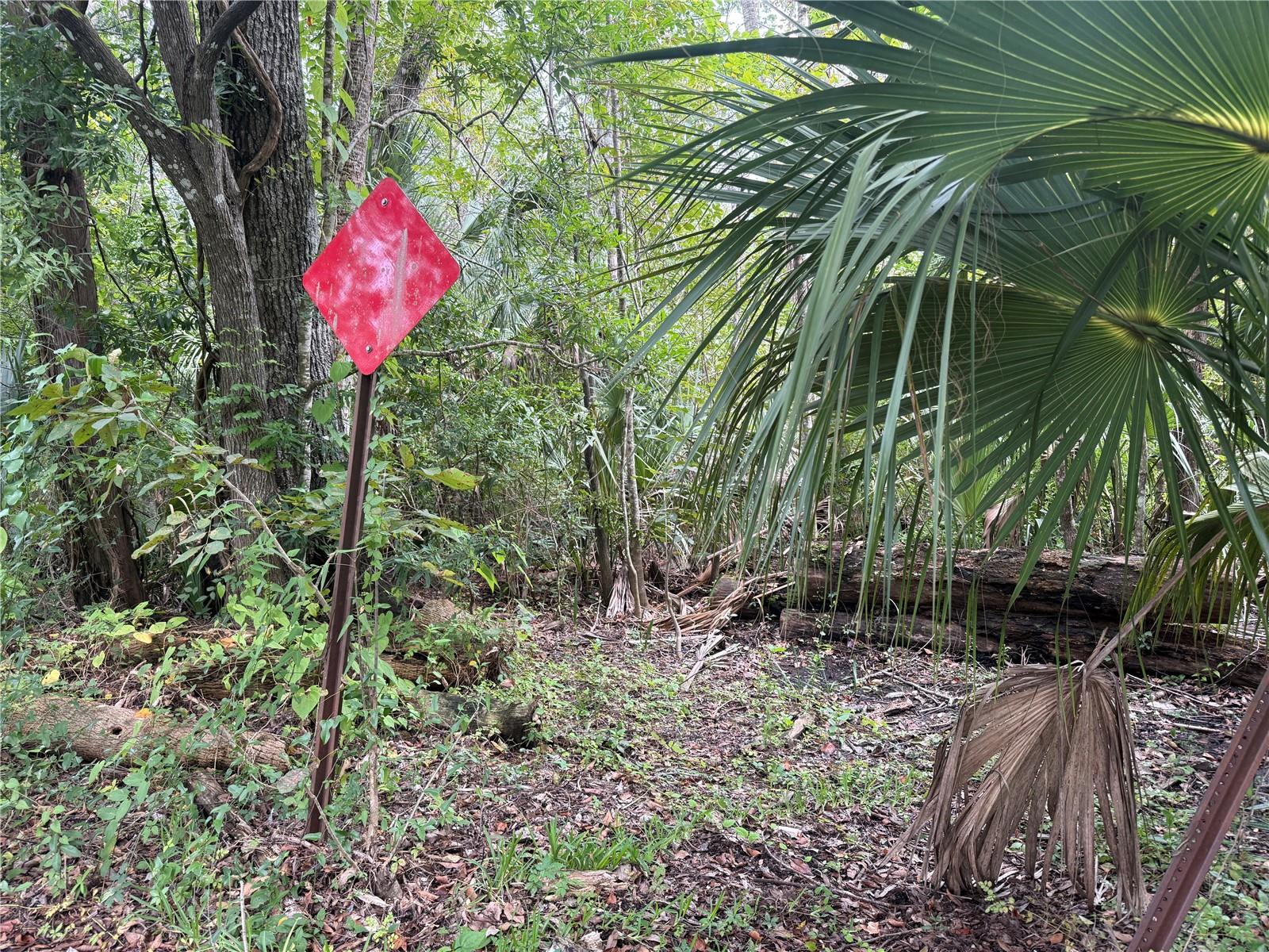 10103 W MAIN STREET, Homosassa, FL 34448 10103 W MAIN STREET, Homosassa, FL 34448