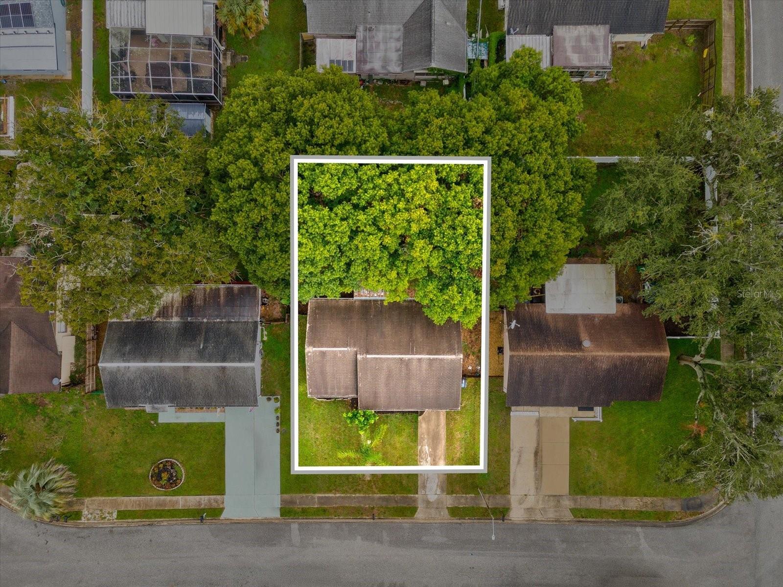3220 LENWOOD DRIVE, New Port Richey, FL 34655