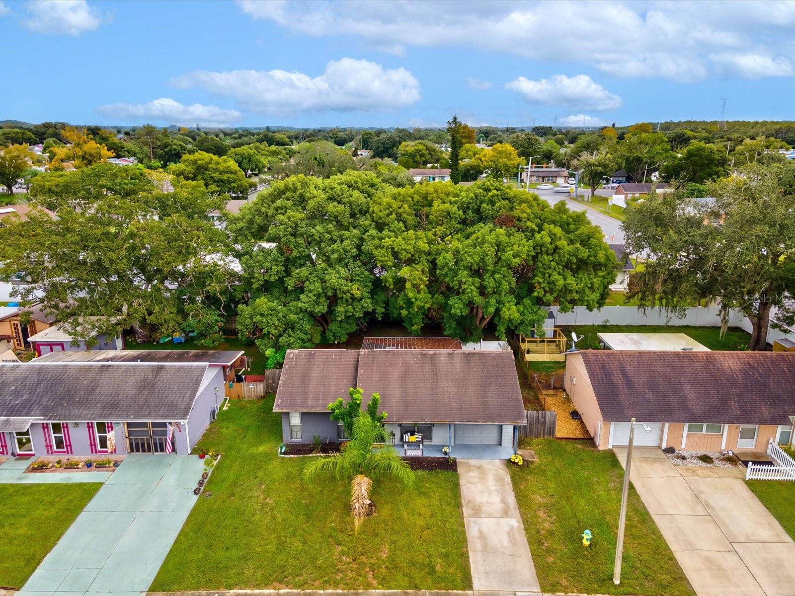3220 LENWOOD DRIVE, New Port Richey, FL 34655