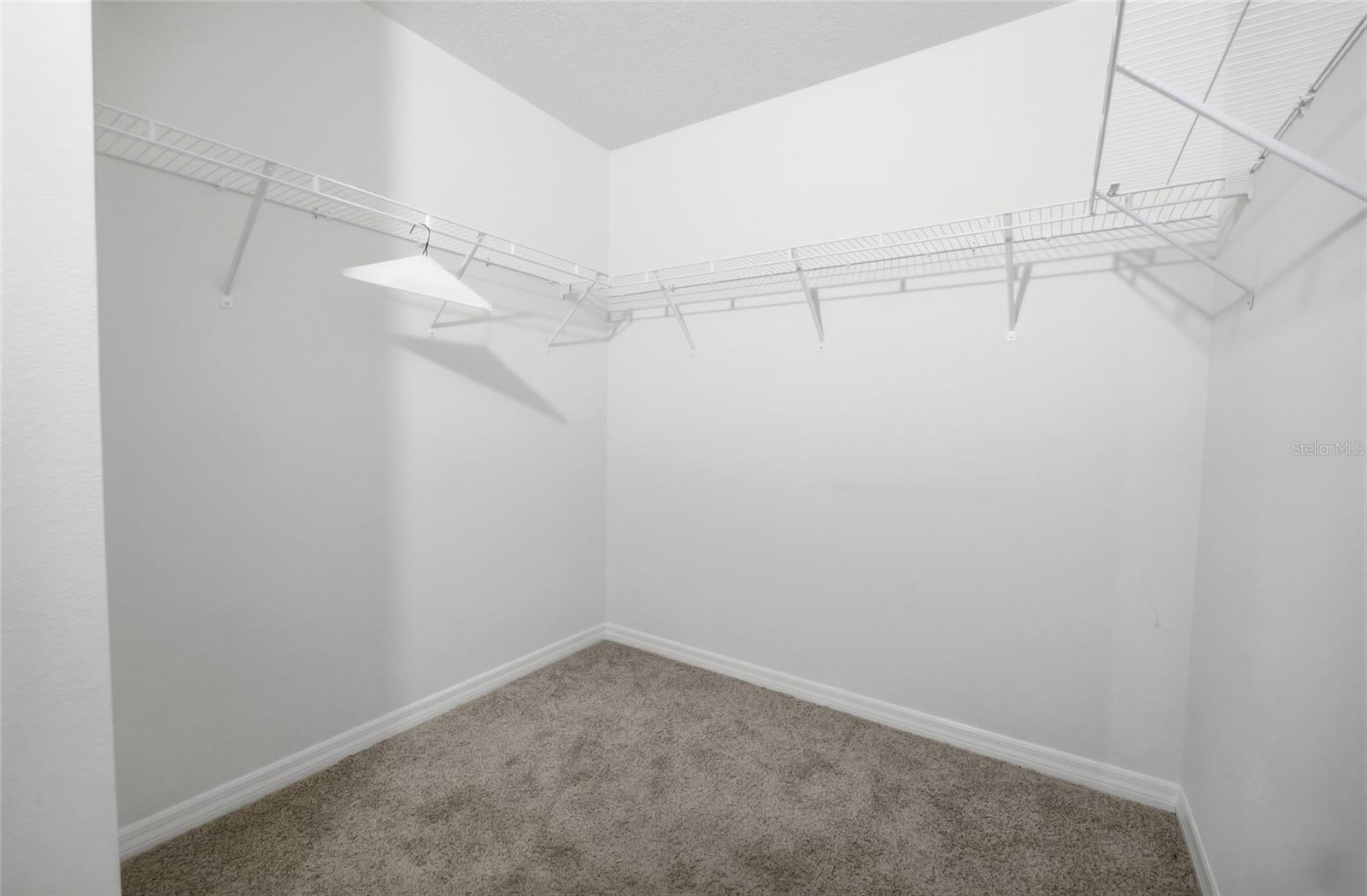 11805 DOWNY BIRCH DRIVE, Riverview, FL 33569