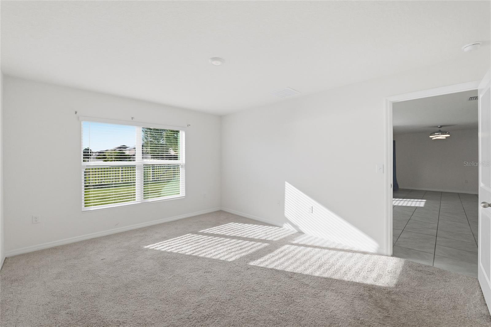 11805 DOWNY BIRCH DRIVE, Riverview, FL 33569