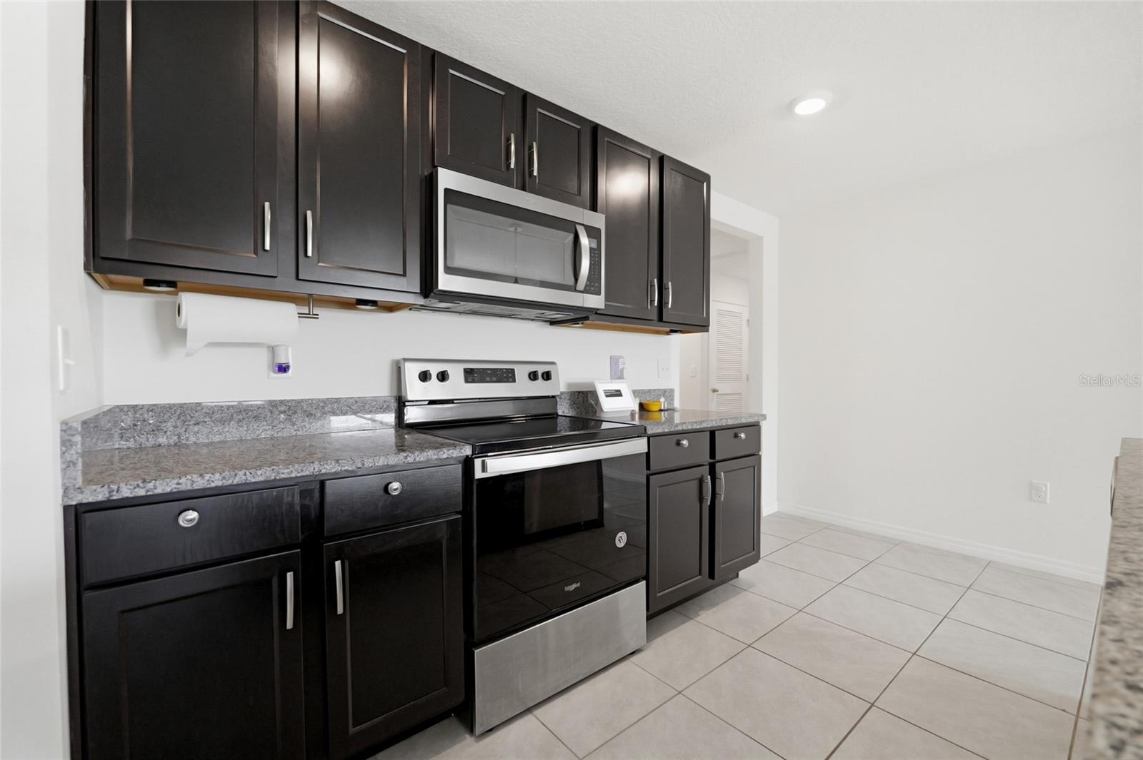 11805 DOWNY BIRCH DRIVE, Riverview, FL 33569