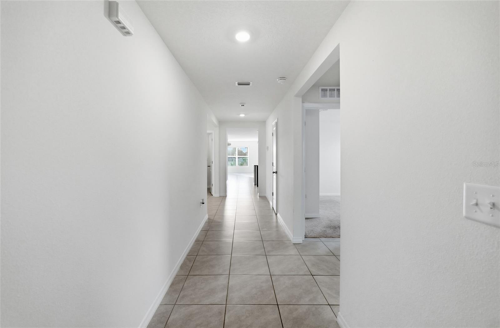 11805 DOWNY BIRCH DRIVE, Riverview, FL 33569