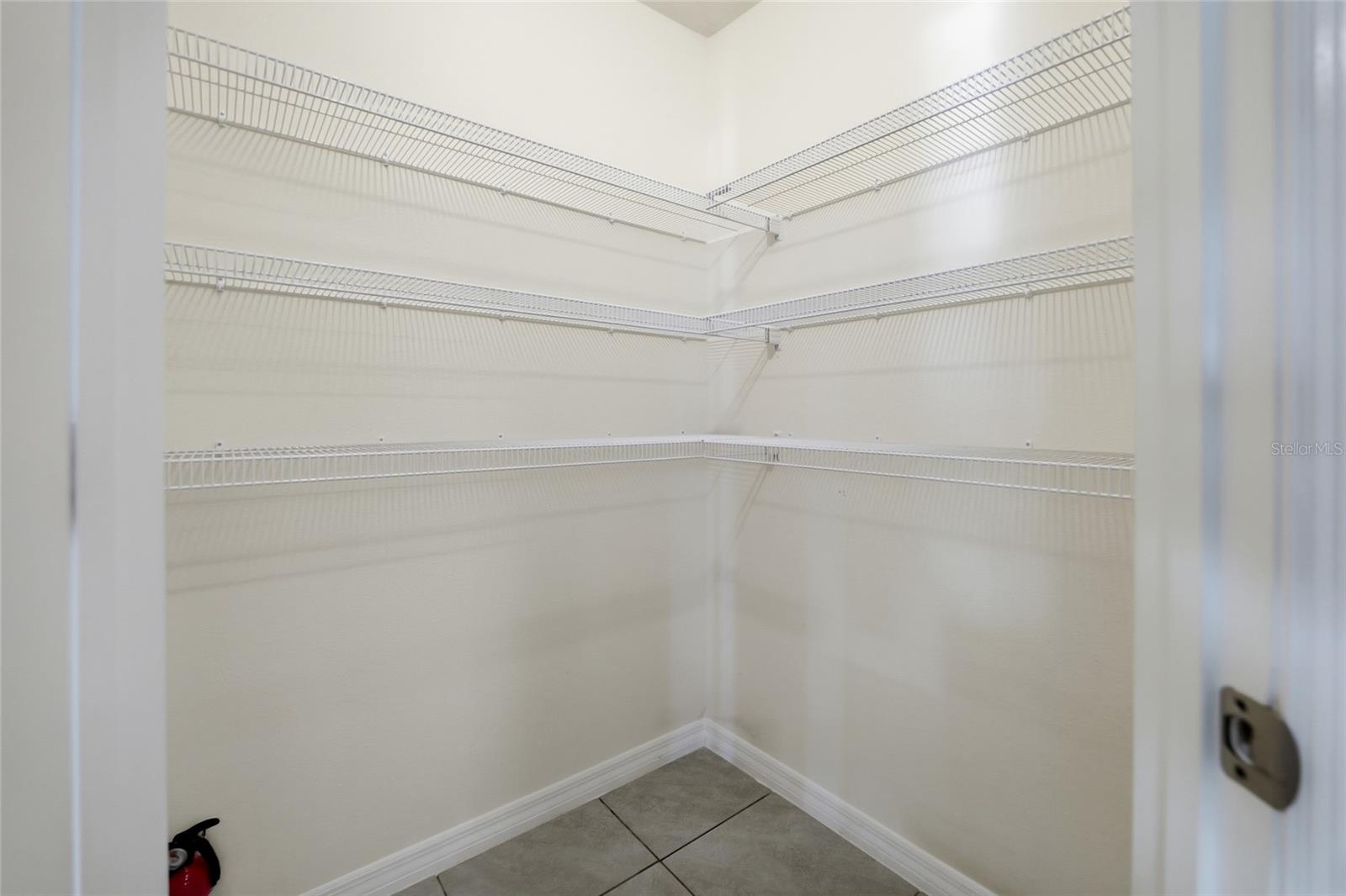 11805 DOWNY BIRCH DRIVE, Riverview, FL 33569