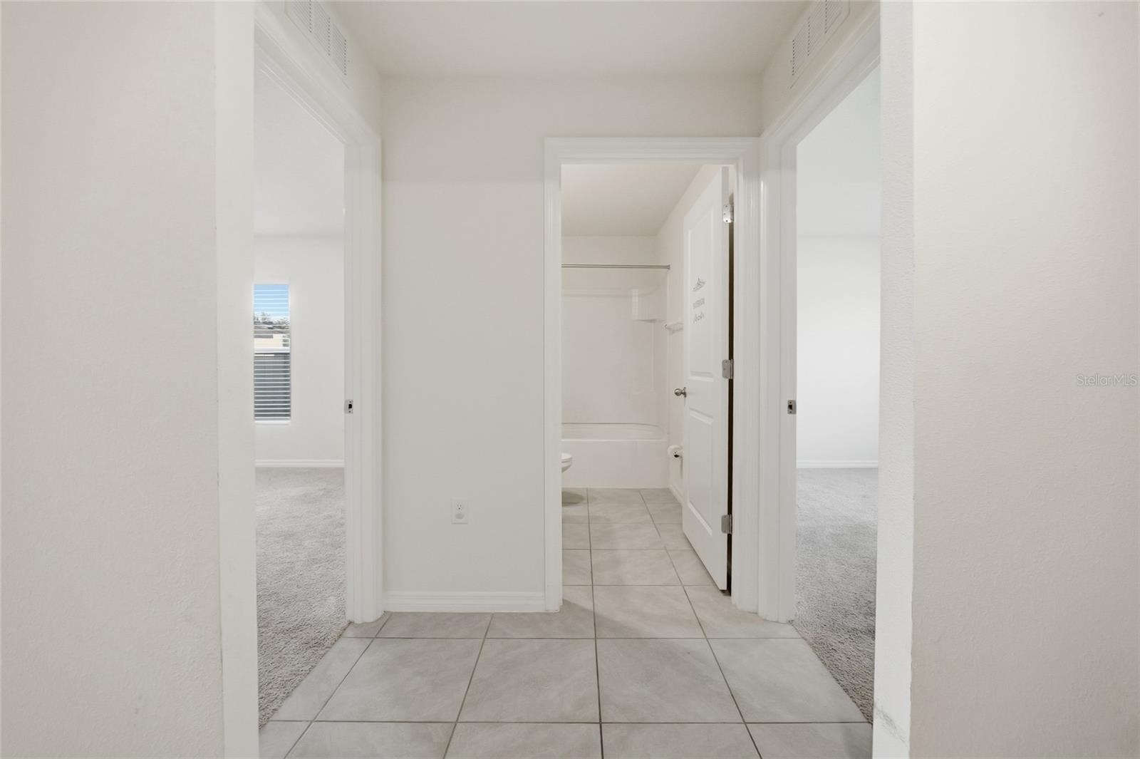 11805 DOWNY BIRCH DRIVE, Riverview, FL 33569