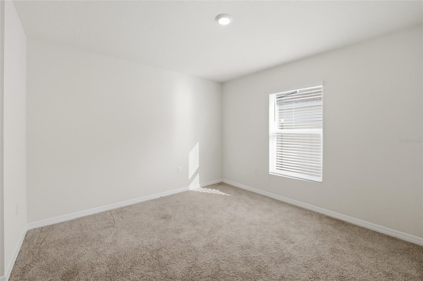 11805 DOWNY BIRCH DRIVE, Riverview, FL 33569