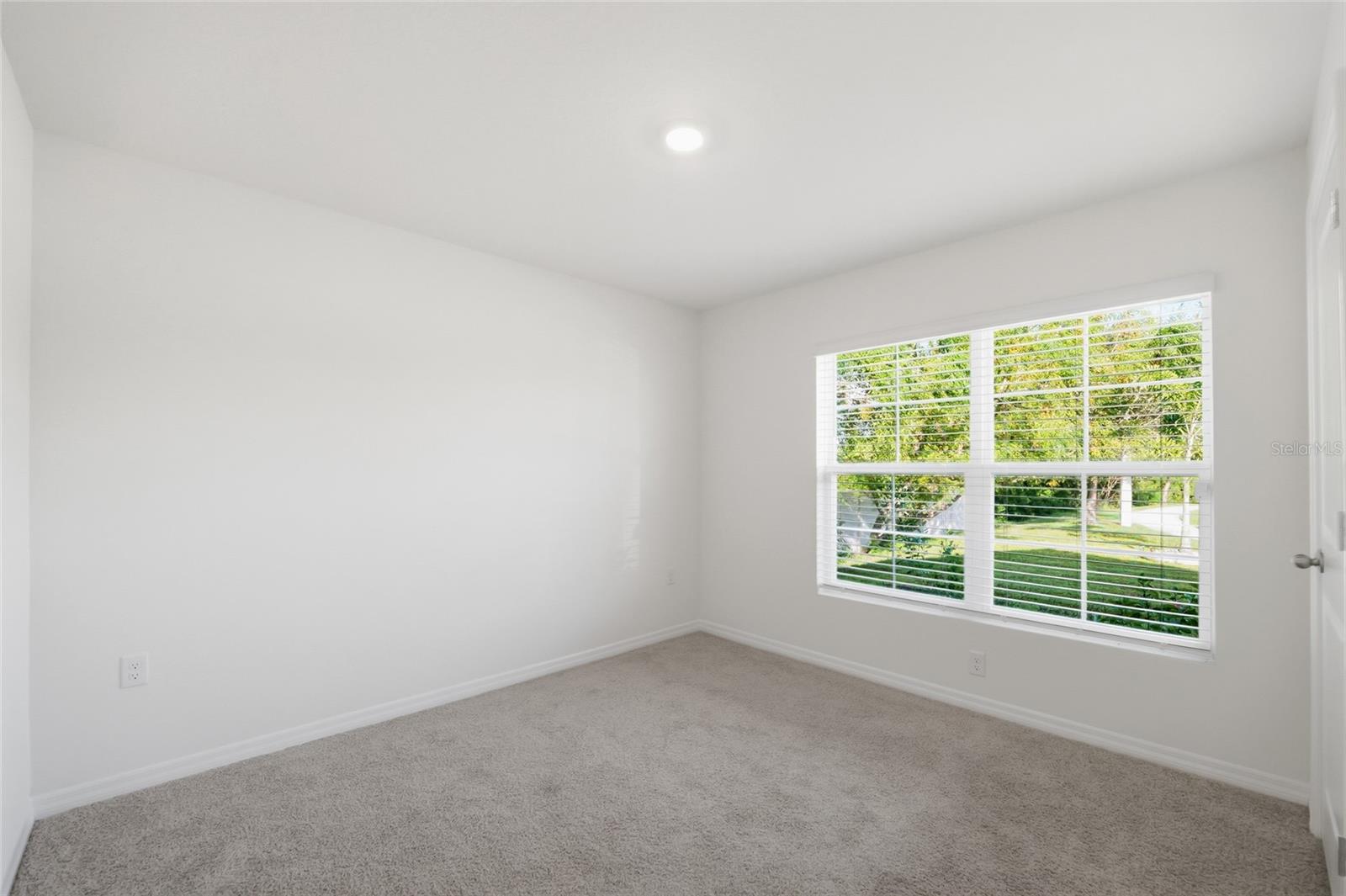 11805 DOWNY BIRCH DRIVE, Riverview, FL 33569