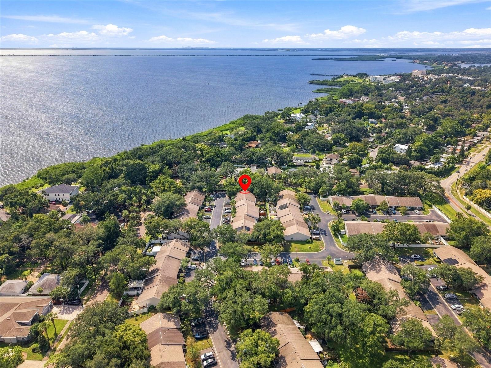 1111 THAYER STREET, #1111, Safety Harbor, FL 34695