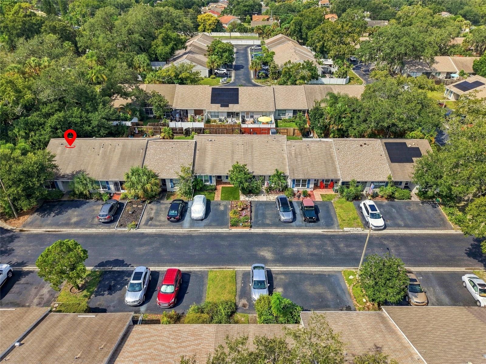 1111 THAYER STREET, #1111, Safety Harbor, FL 34695