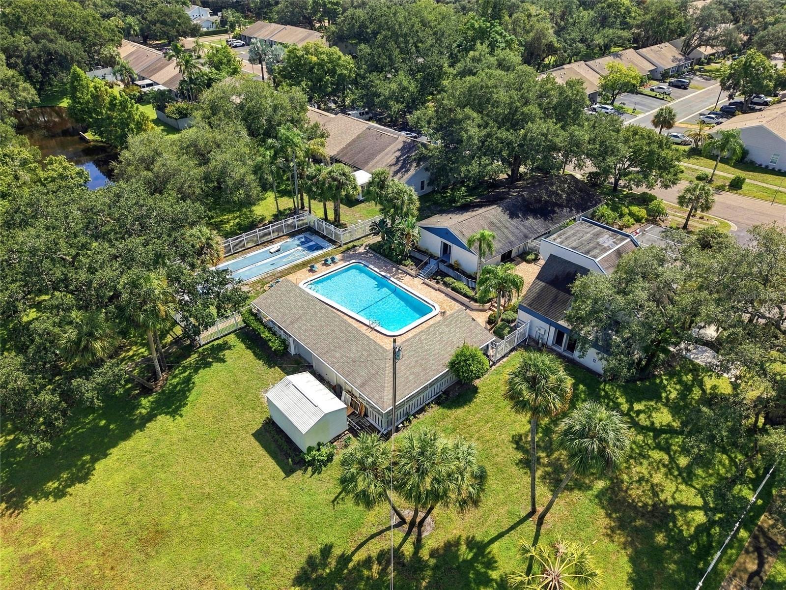 1111 THAYER STREET, #1111, Safety Harbor, FL 34695