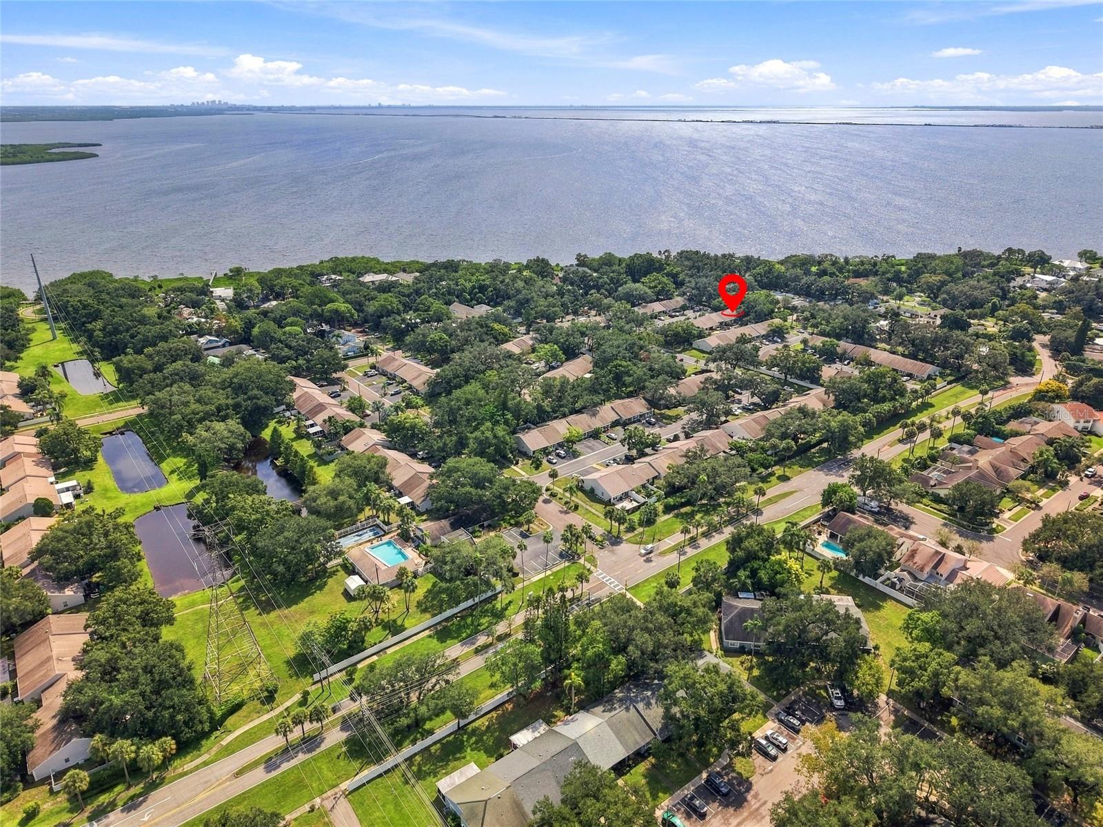1111 THAYER STREET, #1111, Safety Harbor, FL 34695