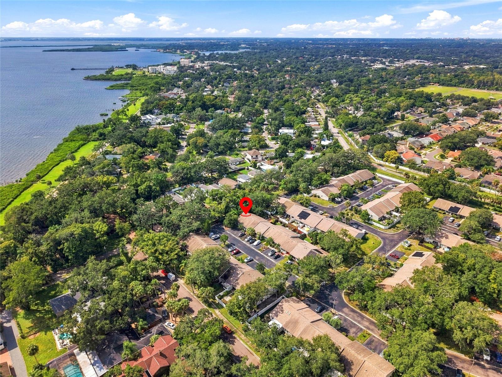 Tampa bay is literally a few steps away