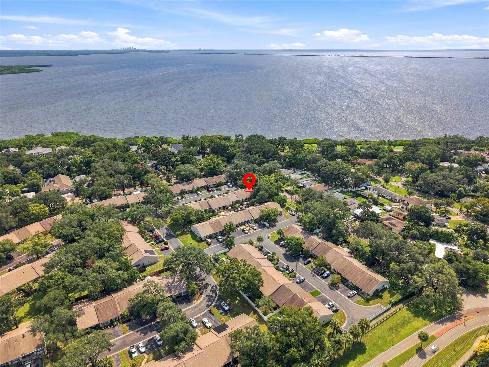 1111 THAYER STREET, #1111, Safety Harbor, FL 34695