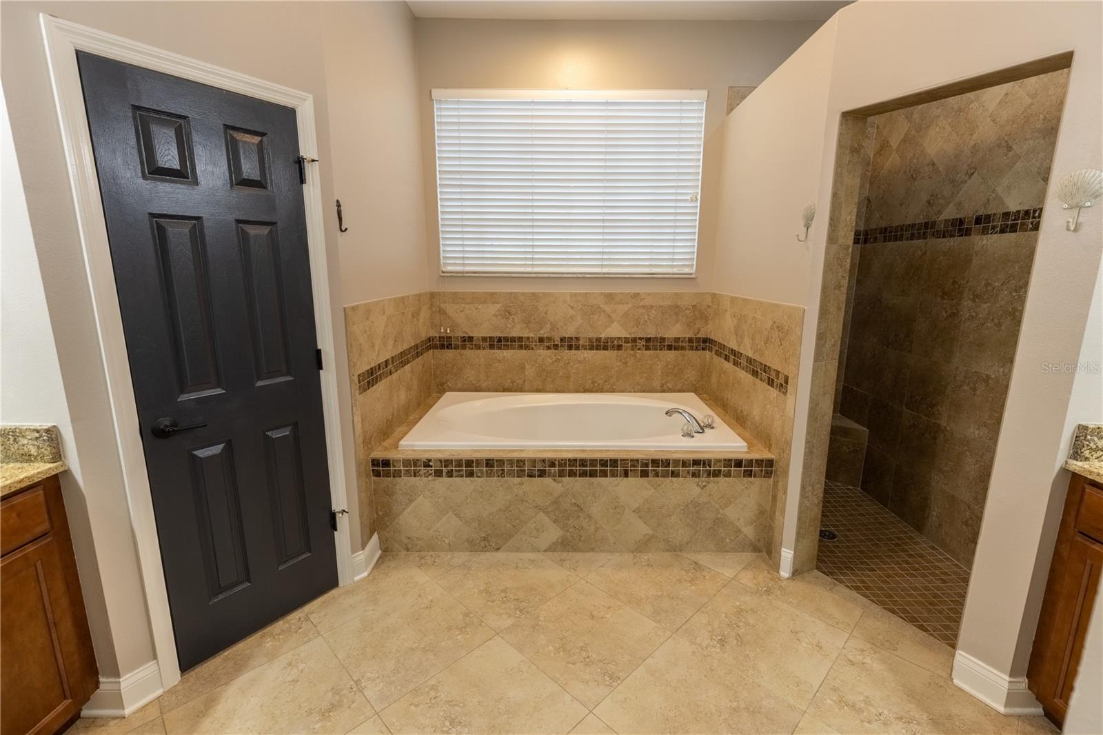 8917 EAGLE WATCH DRIVE, Riverview, FL 33578
