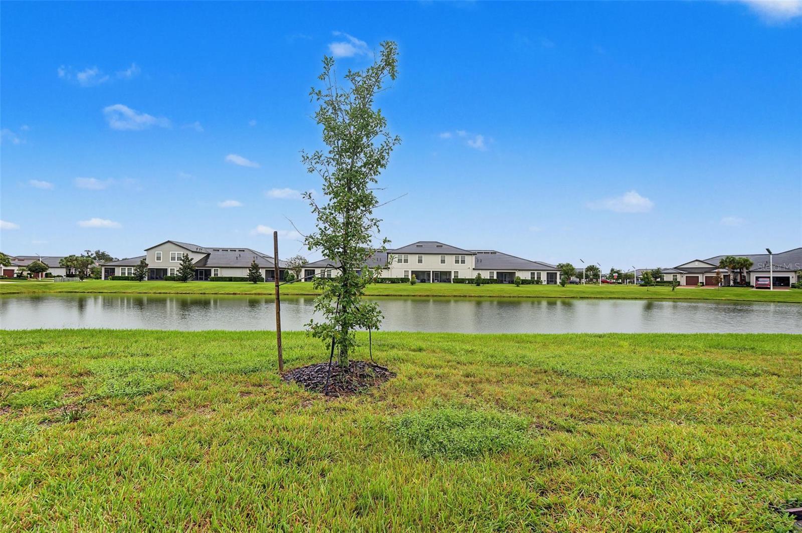 10191 ECHO DOCK LOOP, San Antonio, FL 33576