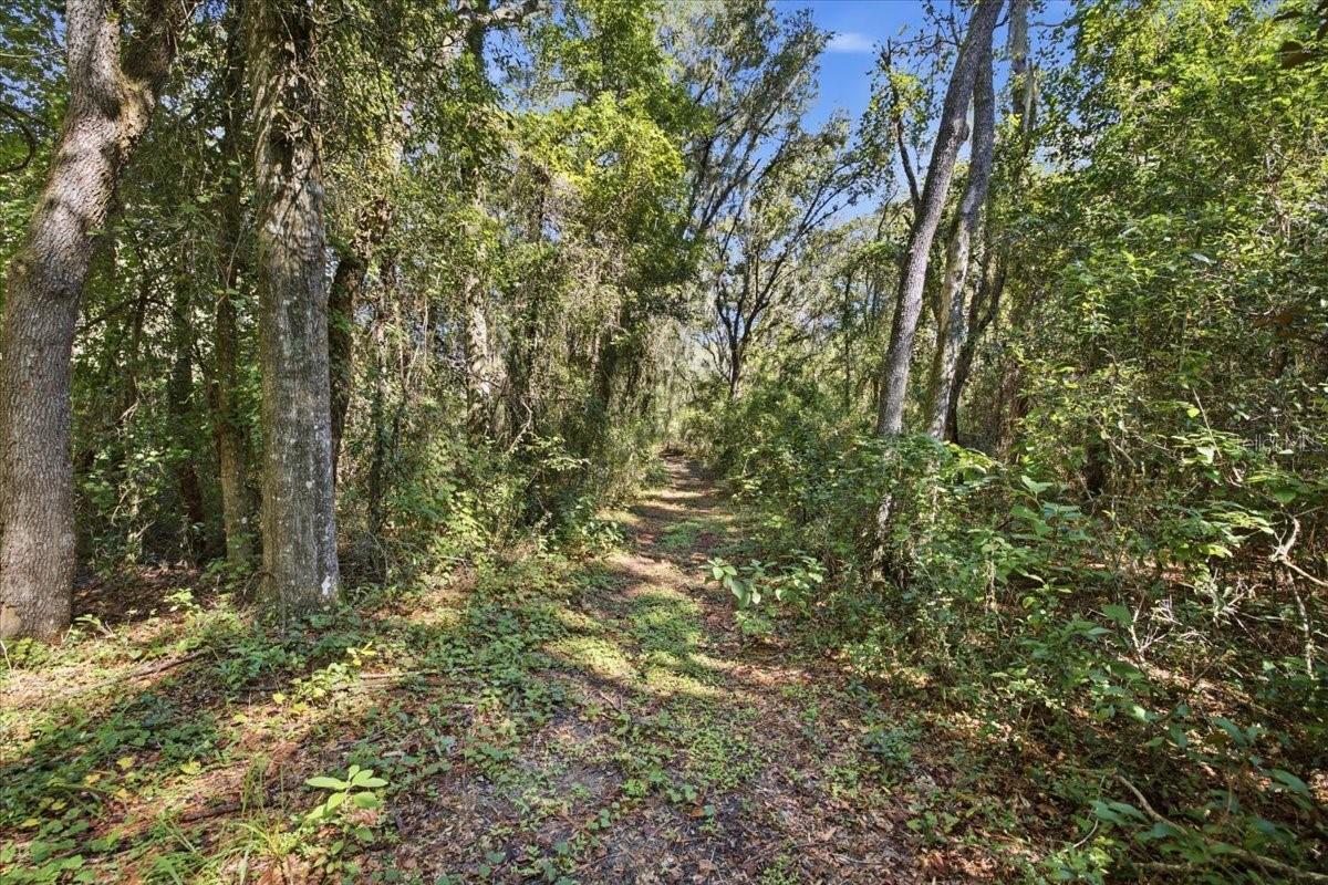 Trails that wind through the wooded section of the property