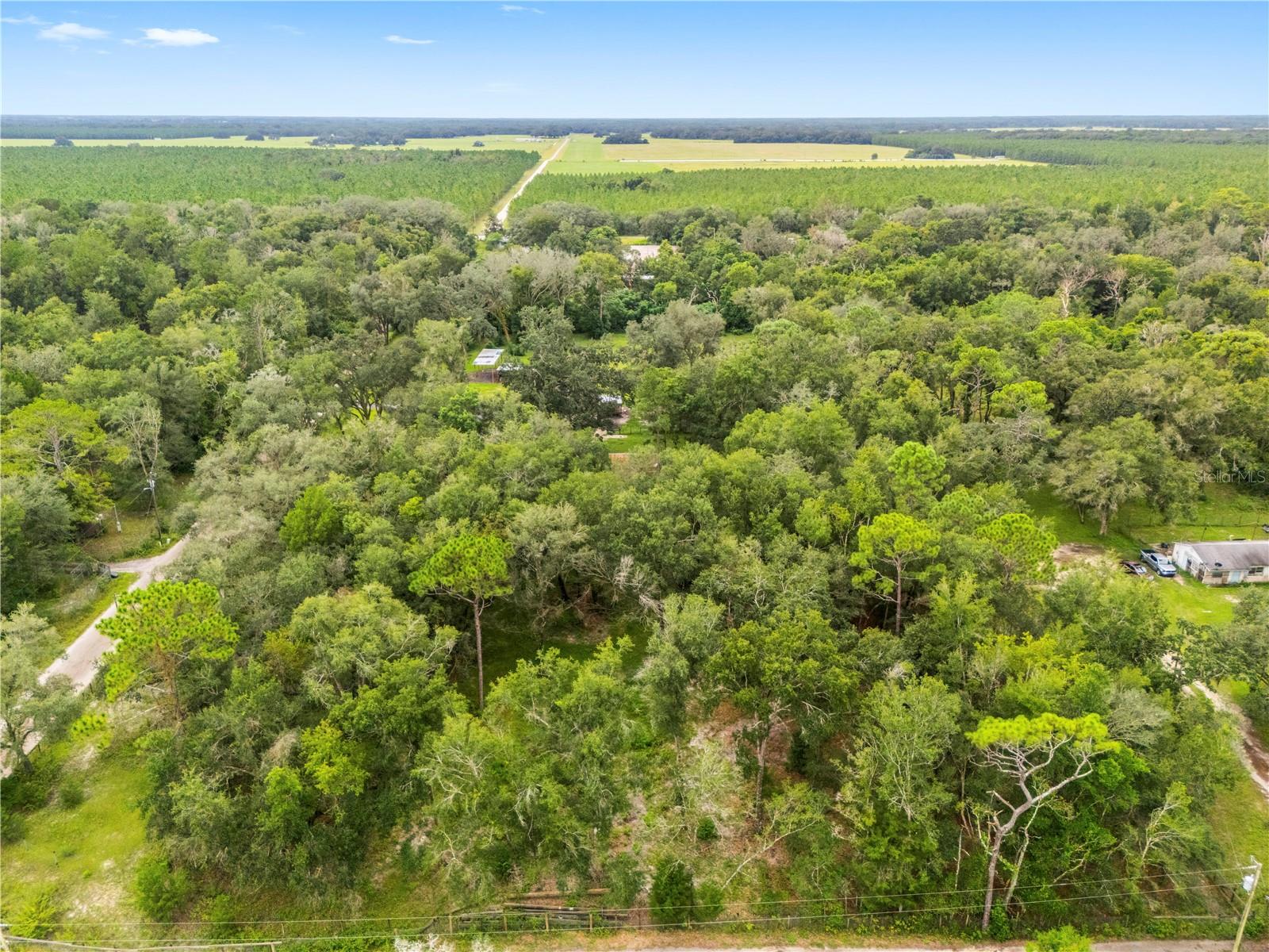 18145 BOOMING ROAD, Spring Hill, FL 34610