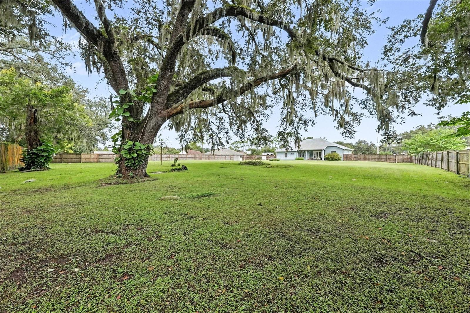 6207 STORCK ACRES LANE, Plant City, FL 33565