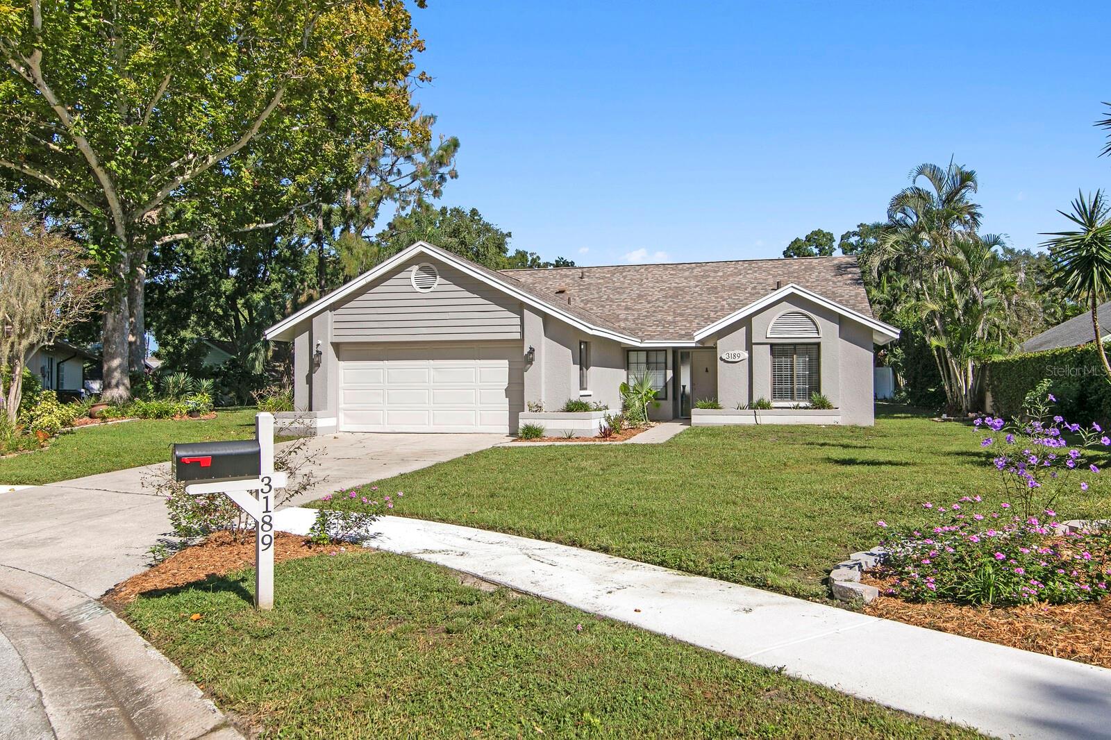 3189 PINE FOREST COURT, Palm Harbor, FL 34684 3189 PINE FOREST COURT, Palm Harbor, FL 34684