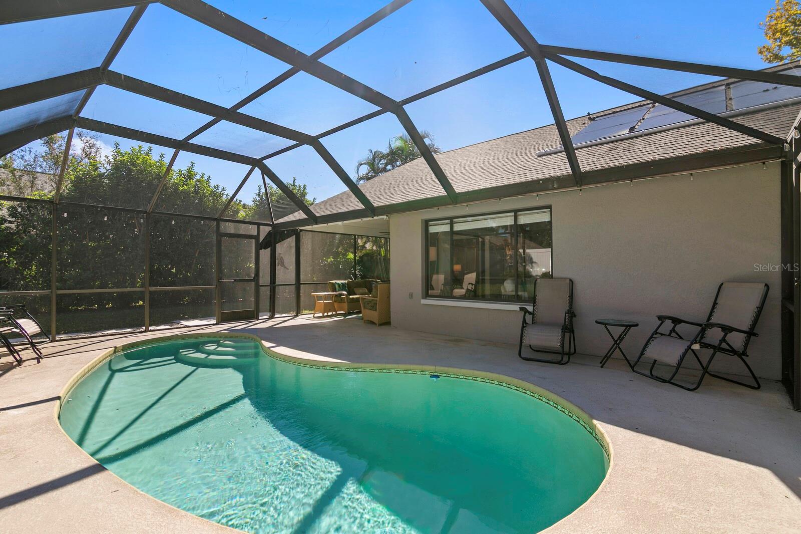 3189 PINE FOREST COURT, Palm Harbor, FL 34684 3189 PINE FOREST COURT, Palm Harbor, FL 34684