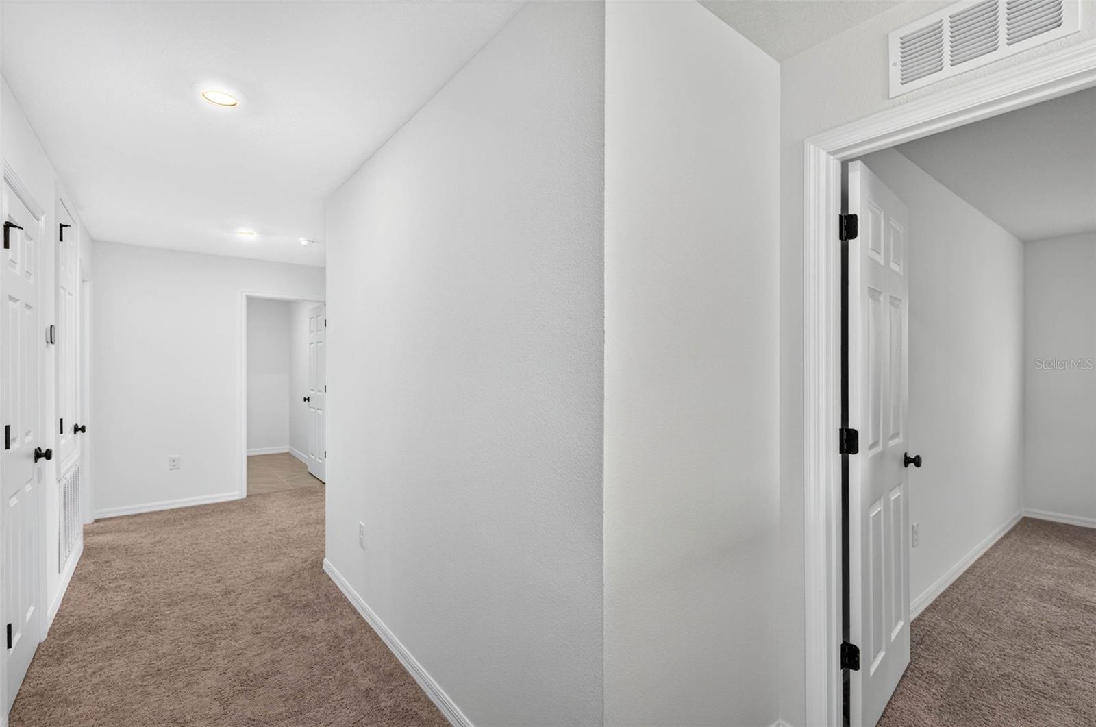 6384 BURNING OPAL BEND, Land O Lakes, FL 34638