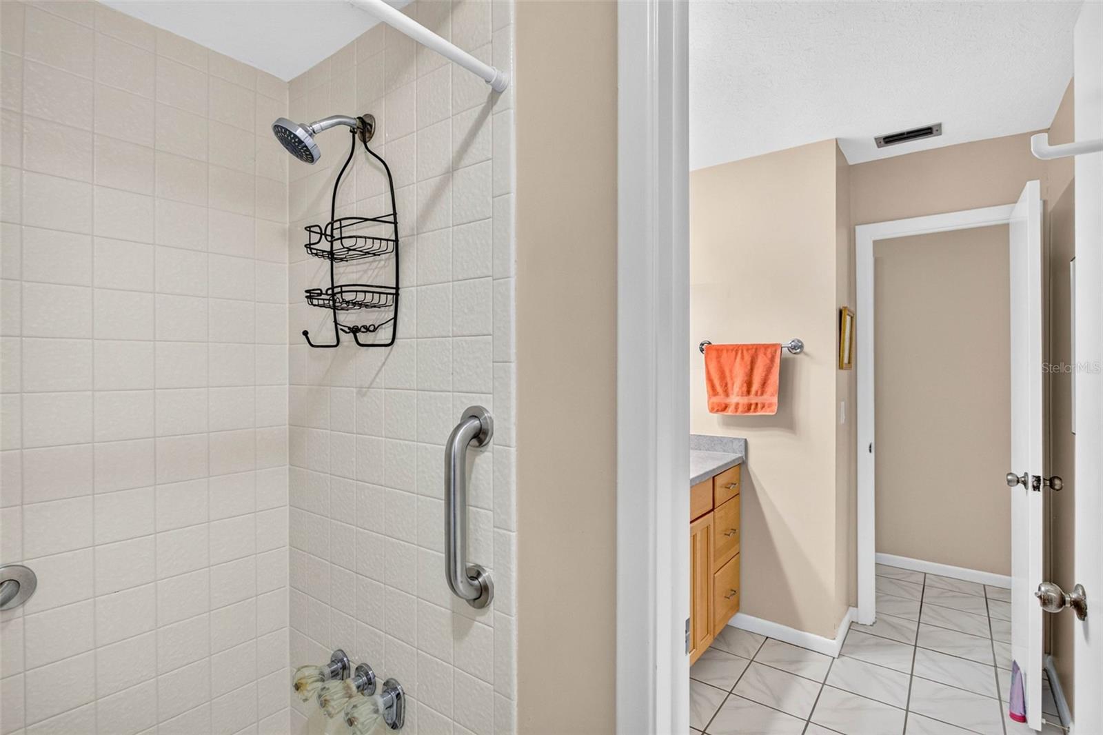 7220 WOODBROOK DRIVE, Tampa, FL 33625