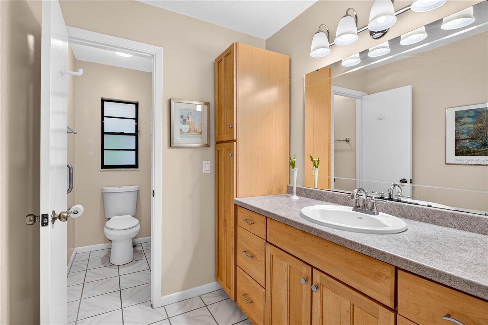 7220 WOODBROOK DRIVE, Tampa, FL 33625