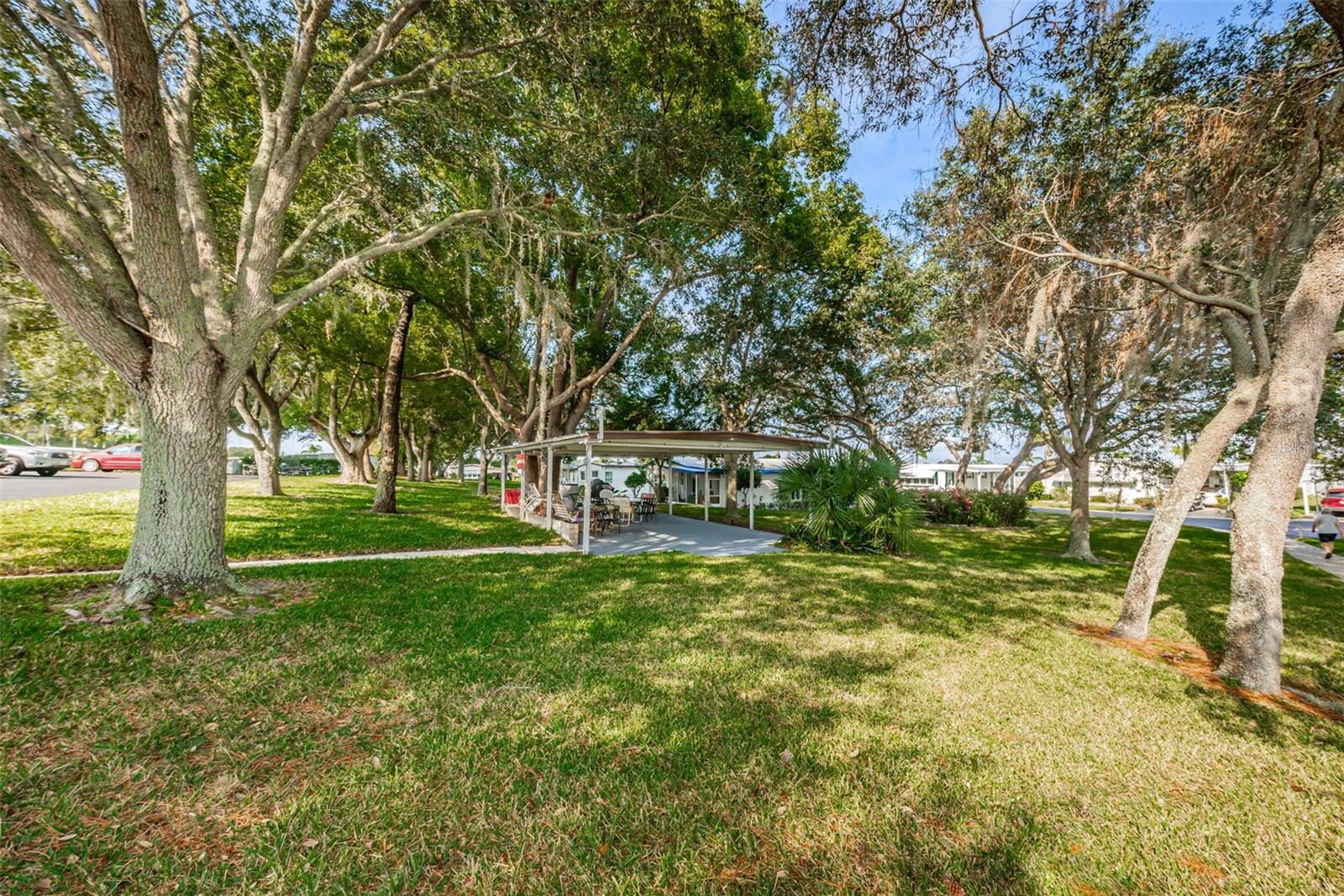39820 US HIGHWAY 19 N, #160, Tarpon Springs, FL 34689