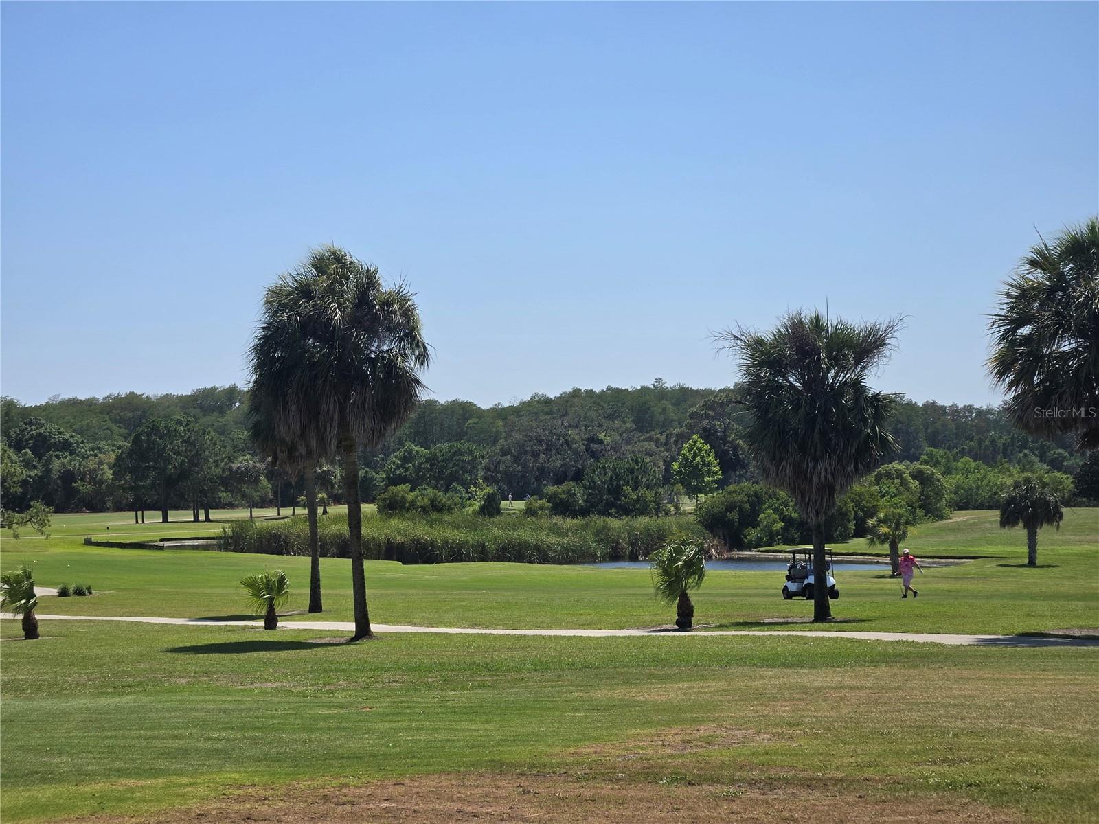 39820 US HIGHWAY 19 N, #160, Tarpon Springs, FL 34689