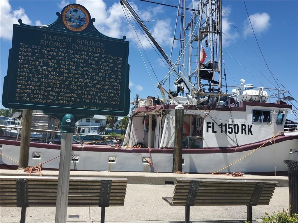39820 US HIGHWAY 19 N, #160, Tarpon Springs, FL 34689