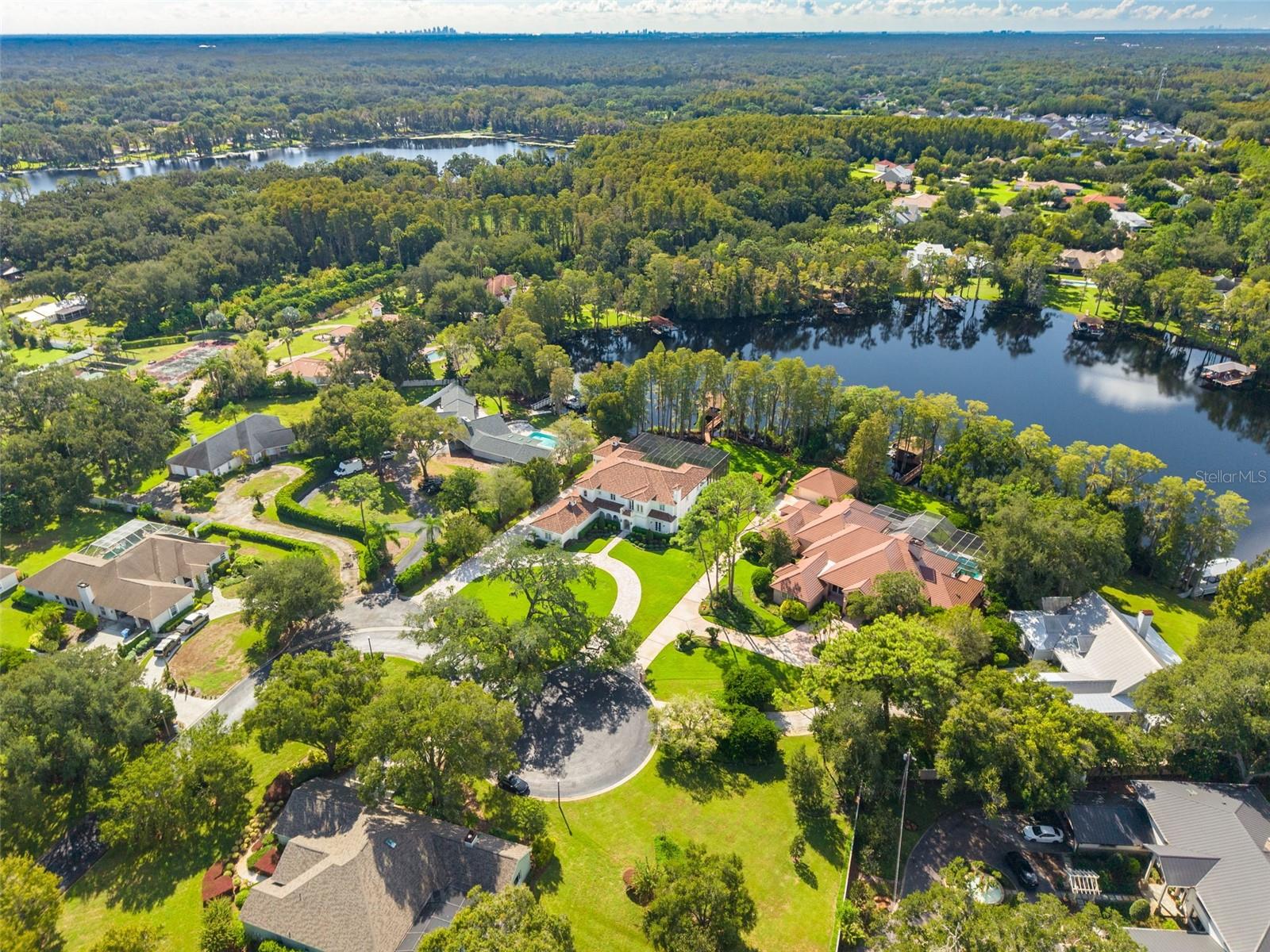 16203 SENTRY WOODS COURT, Odessa, FL 33556