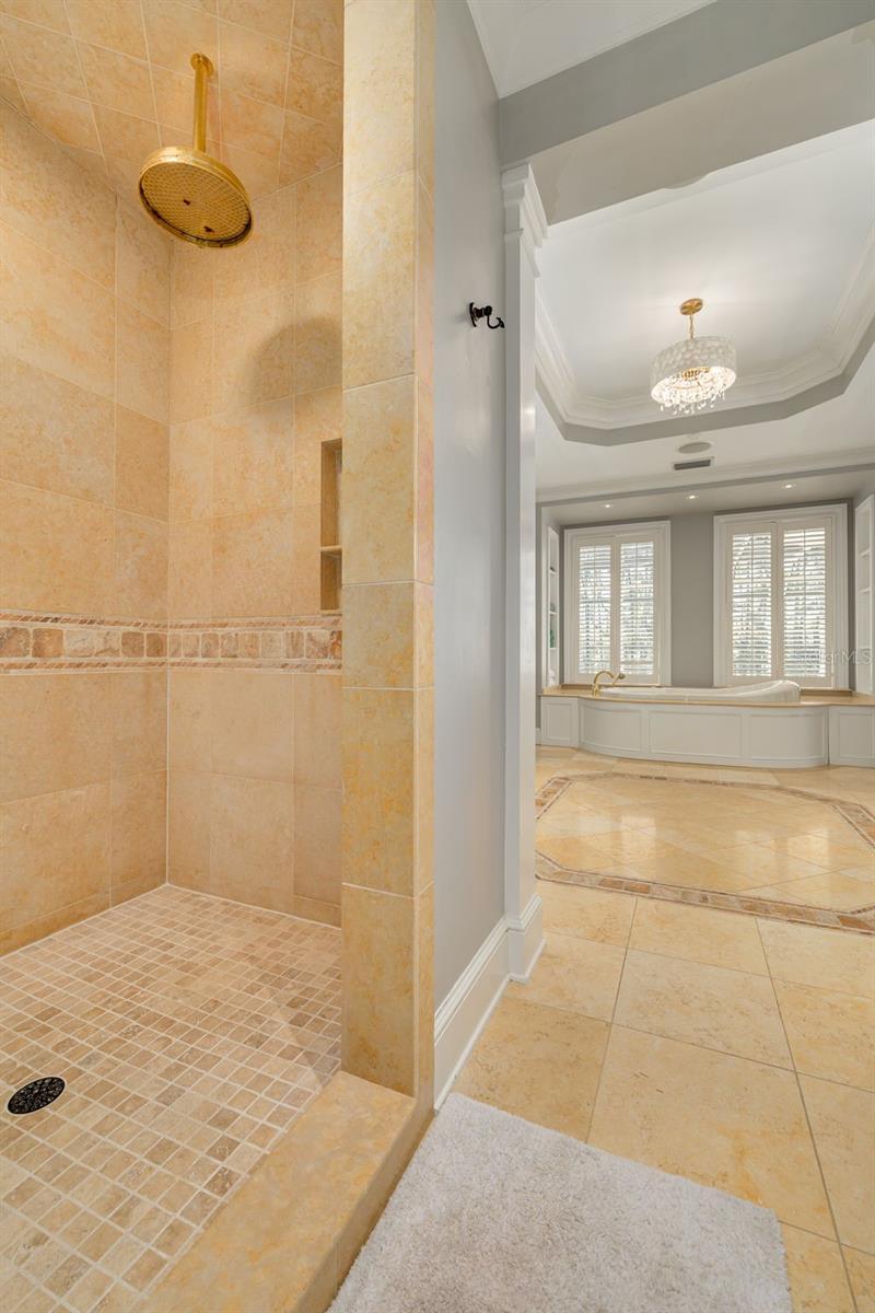 16203 SENTRY WOODS COURT, Odessa, FL 33556