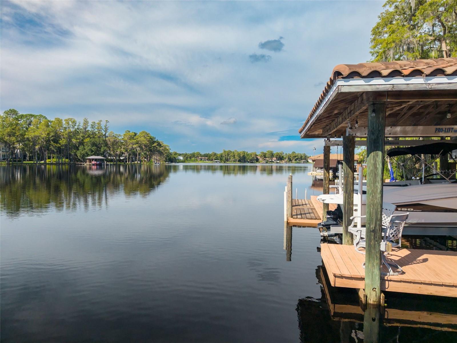 16203 SENTRY WOODS COURT, Odessa, FL 33556