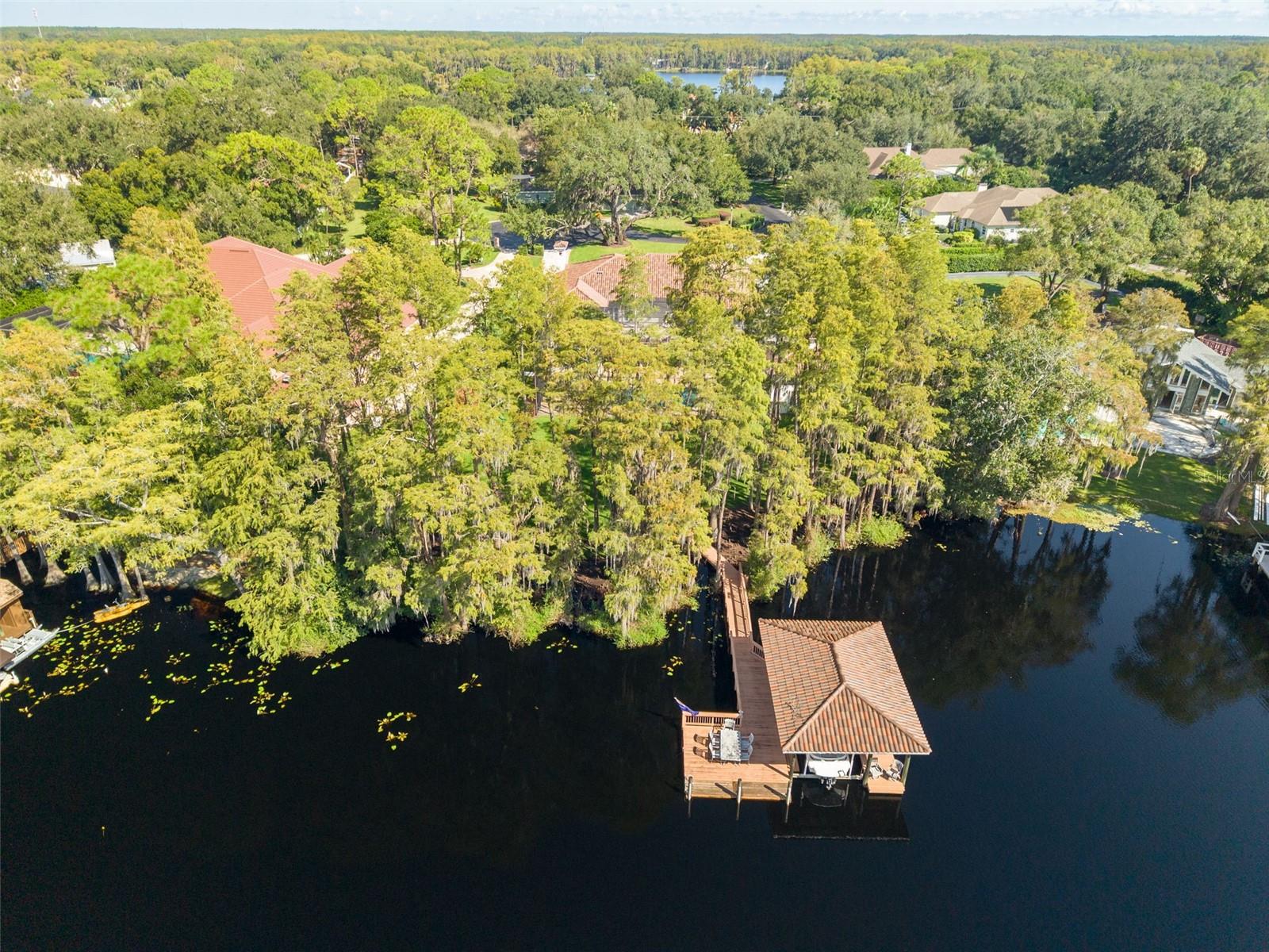 16203 SENTRY WOODS COURT, Odessa, FL 33556