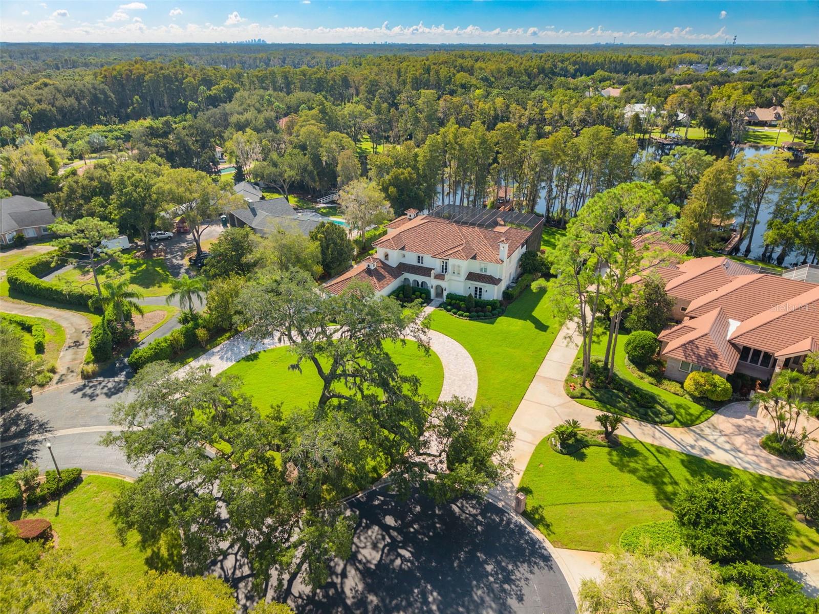 16203 SENTRY WOODS COURT, Odessa, FL 33556