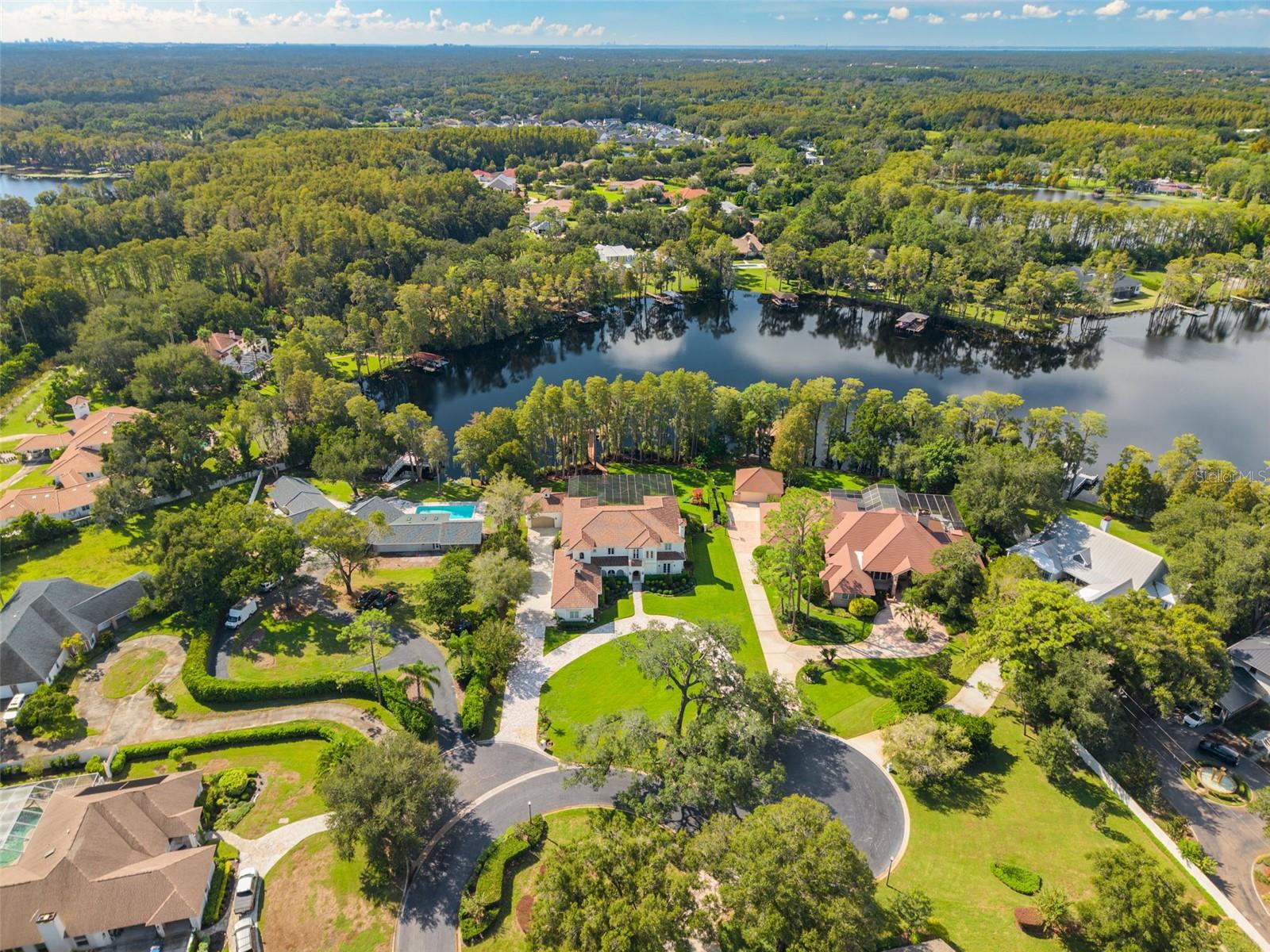16203 SENTRY WOODS COURT, Odessa, FL 33556
