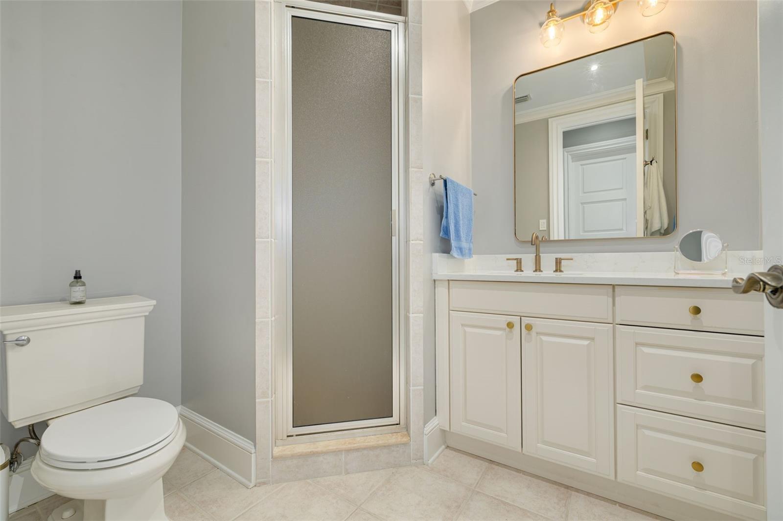 16203 SENTRY WOODS COURT, Odessa, FL 33556