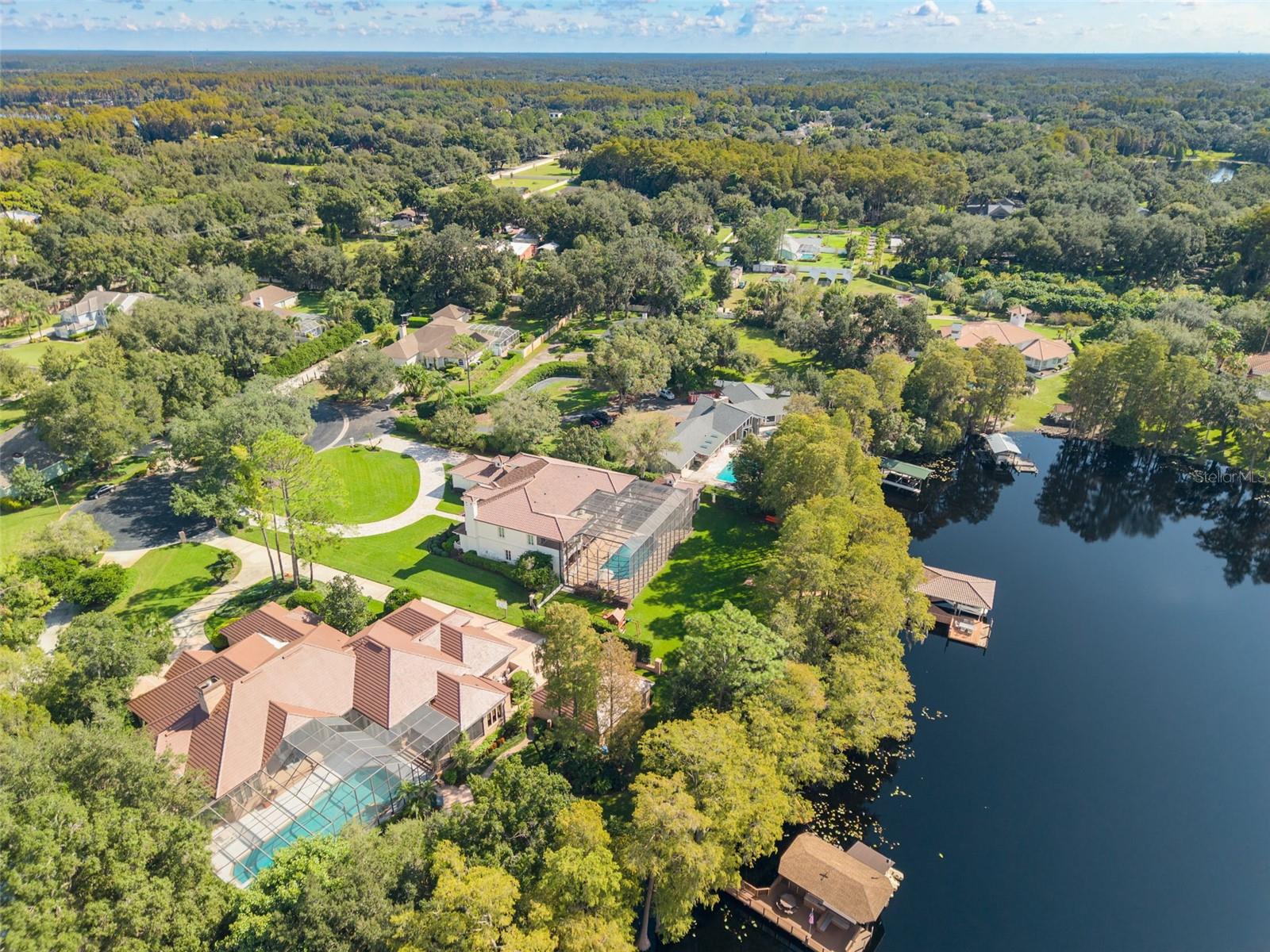 16203 SENTRY WOODS COURT, Odessa, FL 33556