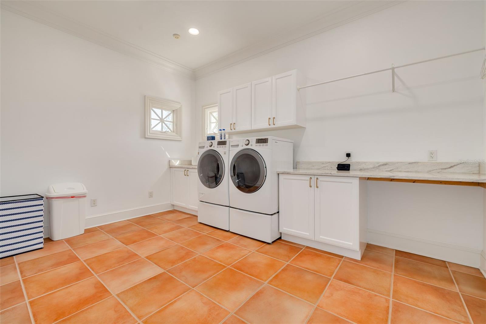 16203 SENTRY WOODS COURT, Odessa, FL 33556